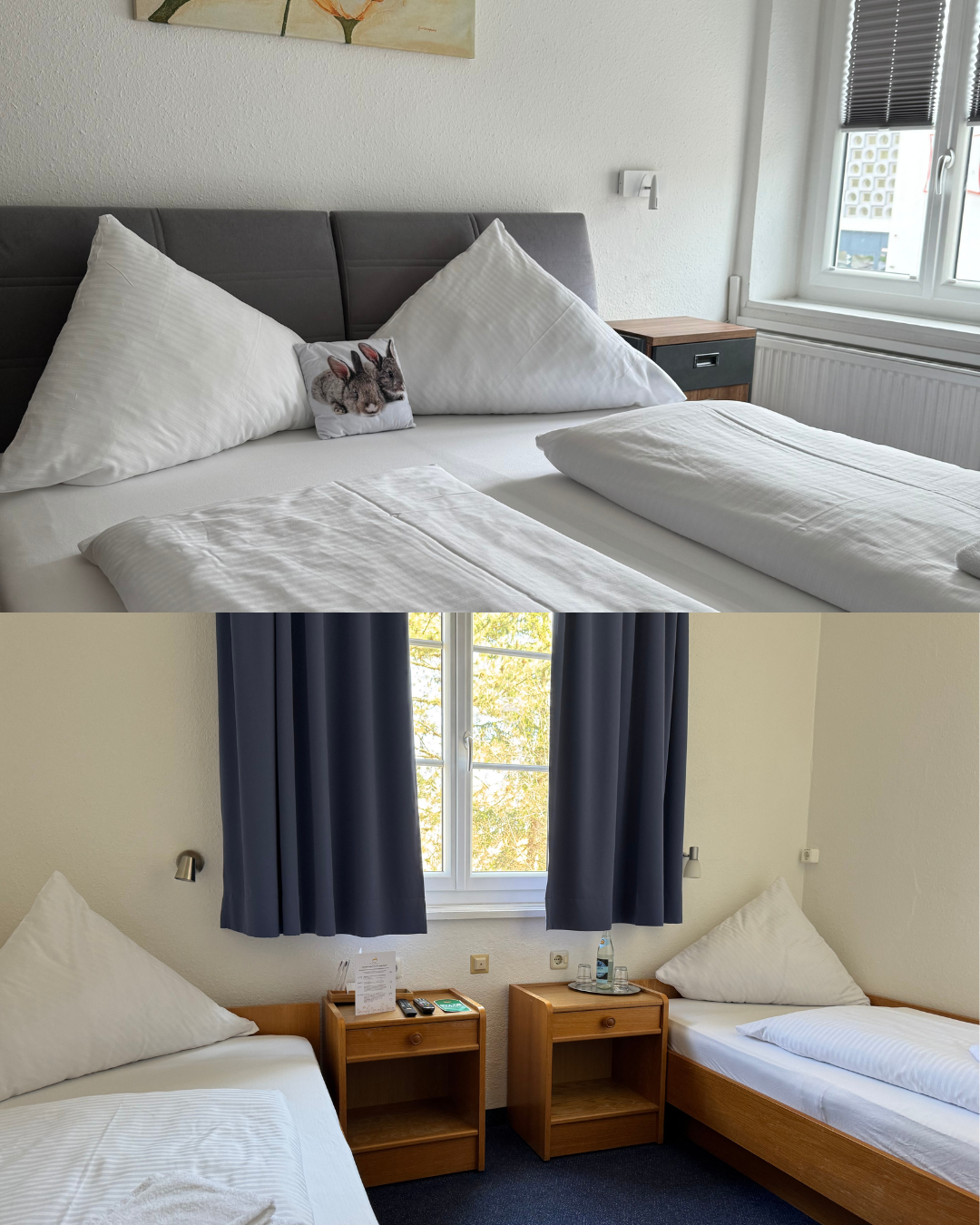 Doppel/Twinzimmer Hotel Hasen